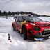 wrc rally svezia 2019 15