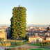 milano bosco verticale 2