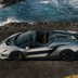 lamborghini autentica 6