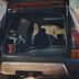 honda passport 2024 11 17