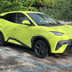 byd dolphin surf video