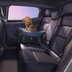 renault scenic e tech 2026 09 11
