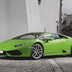 lp 610 4 iba green076