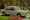 lancia flavia 