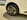 dongfeng box 06