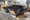 green ncap 2024 09 05