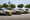 polestar collezione mille 2025