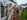 goodwood revival 2025 20