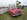 goodwood revival 2026 02