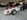 goodwood revival 2026 07