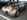 goodwood revival 2026 25