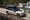 mini countryman untamed 2026 10 09