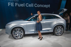 hyundai fe fuel 1