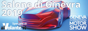 ginevra 2019 310x110