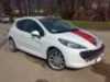 Ritratto di Leones