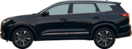 DR 7